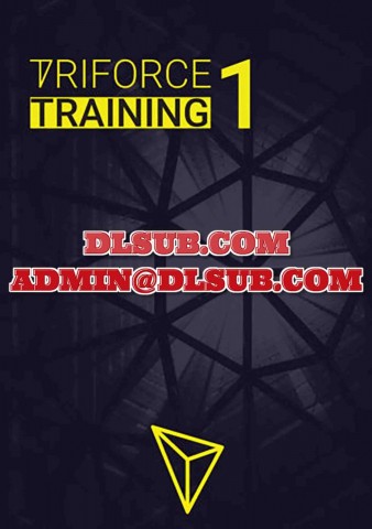 Triforce Trader corporate product branding for Triforce Training Part 1 program