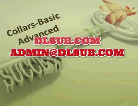 Random Walk Trading - Collar Basic to Advanced branded promotional cover for online education, implementing advanced collar strategies for income